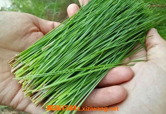 ��β����Ĺ�Ч������ ��β����ĸ�����