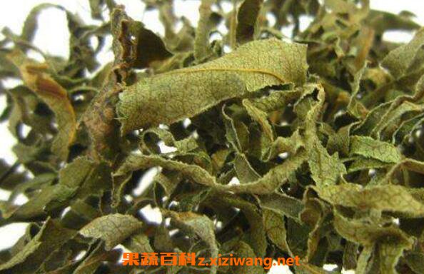 ��Ҷ��Ĺ�Ч������ ��Ҷ��ĸ�����