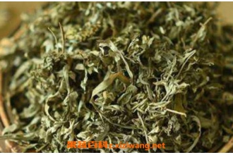 ��Ҷ�ݽ���ʲô�ô��뻵��