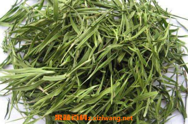 ��Ҷ���Ǻ��Ի������� ��Ҷ��...</p><a href=