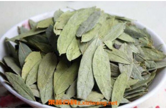 ��кҶ�Ĺ�Ч�����ü�ҩ�ü�ֵ