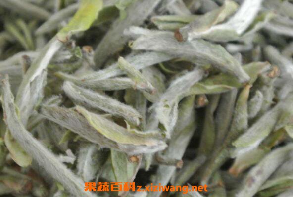 �׺�������ô�� �׺��������ȷ���ݷ���