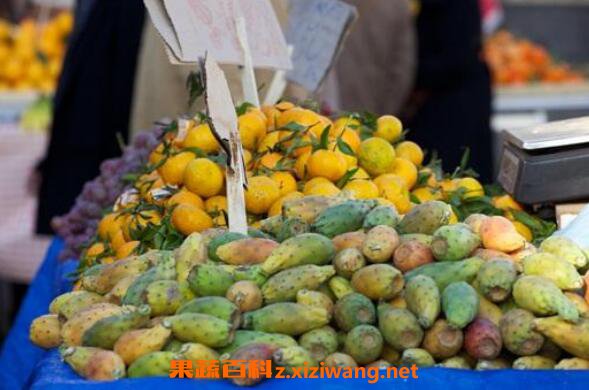 �����ƹ���ô�� �����ƹ��ĳԷ�