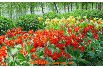 ���˽�Ʒ������Щ ���˽�����ô��ֳ