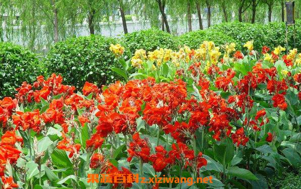���˽�Ʒ������Щ ���˽�����ô��ֳ