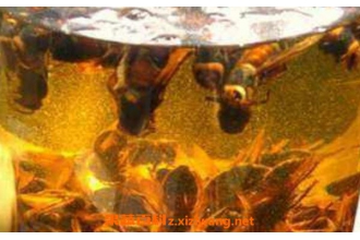 �˲θ��ƵĹ�Ч������