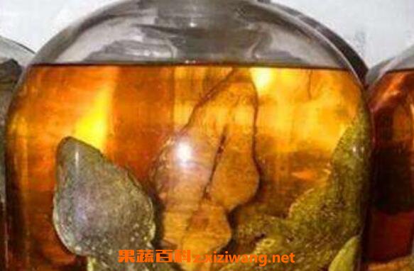人参蛤蚧酒的功效与作...... <a href=