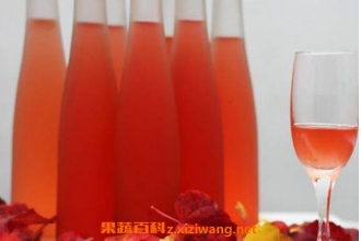 ɽ髾ƵĹ�Ч������ ɽ髾�ʲô�˲����˺�