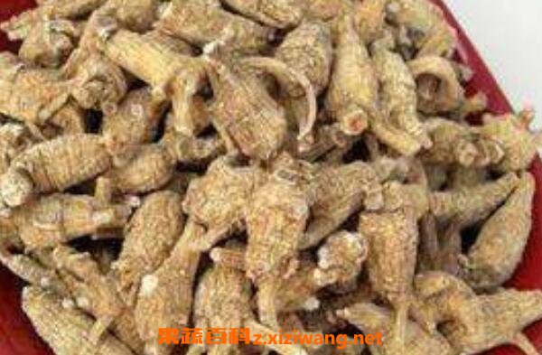 ����εĹ�Ч������