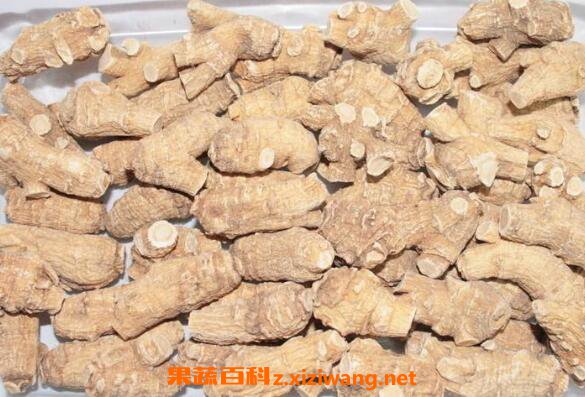 花旗参的功效与作用
