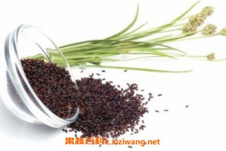 车前子壳的功效与副作用 中药知识 做法 功效与作用 营养价值www Asqxzs Com 车前子壳的功效与副作用 中药知识 做法 功效与作用 营养价值www Asqxzs Com