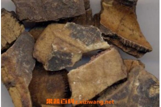 �׹�׺ʹױ�׵����� �׹�׵�ʳ�÷���