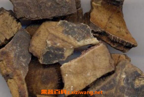 醋龟甲和醋鳖甲的区别 醋龟甲的食用方法