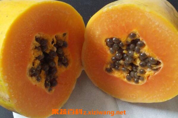 ľ�Ͽ���ֱ�ӳ��� ľ�ϵĸ��ֳԷ�