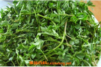 ����ޣ�Ĺ�Ч������