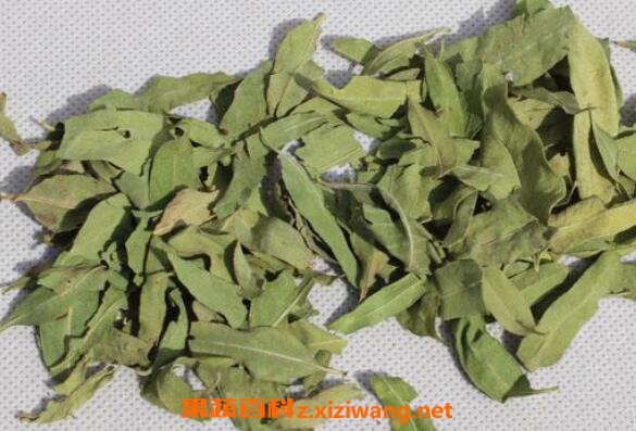 �޲���Ҷ�Ĺ�Ч������ �޲���Ҷ�ĸ�����