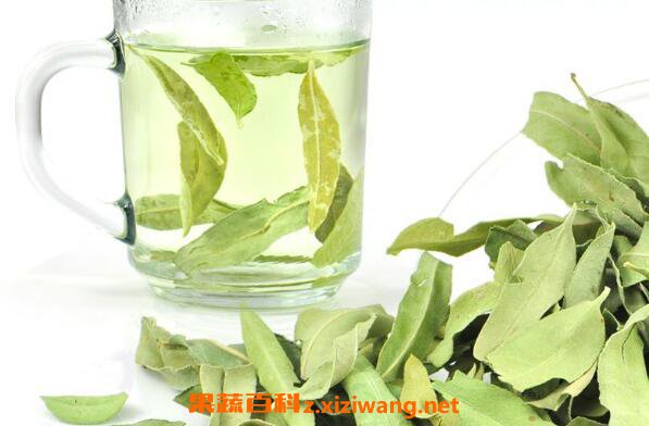�޲���Ҷ����ˮ���� �޲���Ҷ��ˮ�ȷ���