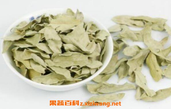 �޲���Ҷ����ˮ���� �޲���Ҷ��ˮ�ȷ���