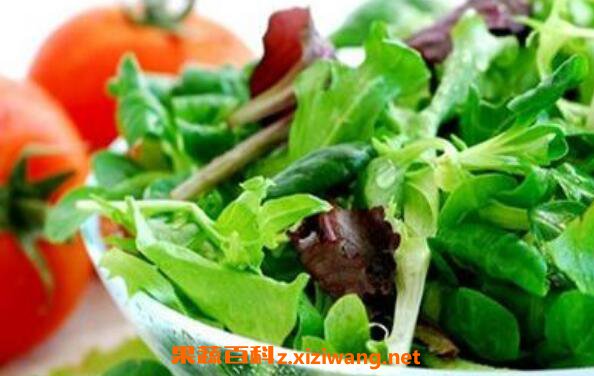 ��Ҷ���ʳ������Щ ��Ҷ��ߵ�ʳ���ˮ������