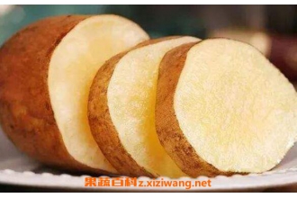 ѩ�����Ĺ�Ч�����ü�ʳ�÷���