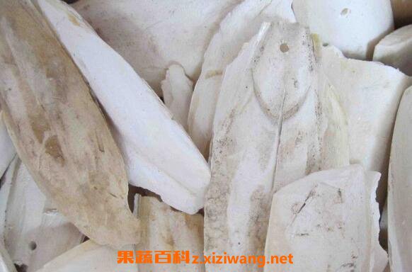 �����ǵĹ�Ч�����ü�ʳ�÷���