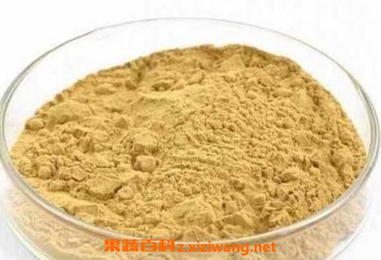 ��޼��߰�Ĺ�Ч������