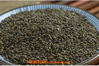 ɳԷ��޼�Ĺ�Ч������