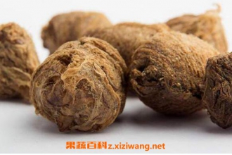 ɣ�����ˮ�ȵĹ�Ч������