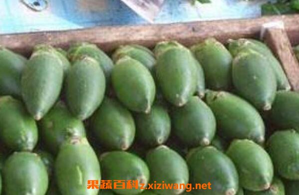 青果槟榔的功效与作用