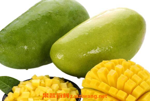 ���â�ʹ���â���� ���â�ĳԷ�