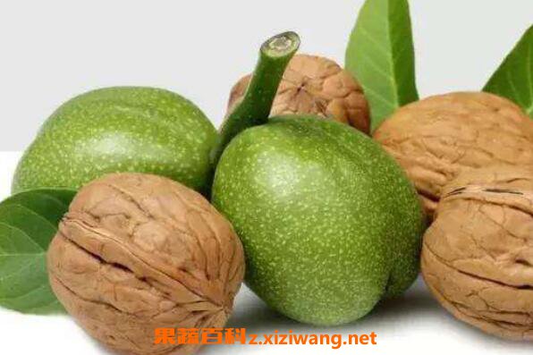 ��Ƥ������ô�� ��Ƥ������ô����