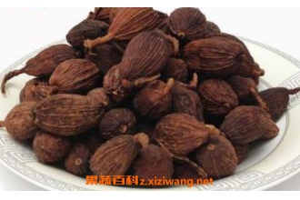 �ݶ�ޢ��ݹ��ʵ�����