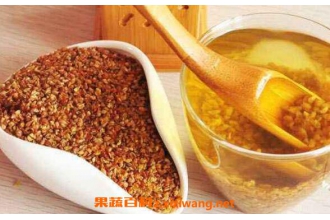 ��������ܳ��ں��� ���ںȿ������Ĺ�Ч�븱����