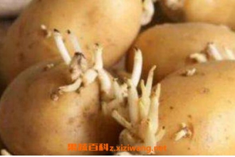 �����ؼ��Ȼ�ֽ��� �������ж���ô��