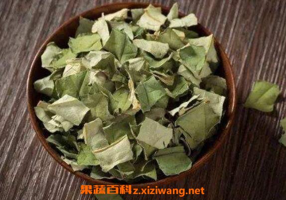 ��Ҷ��Ĺ�Ч������ �Ⱥ�Ҷ��ĺô�