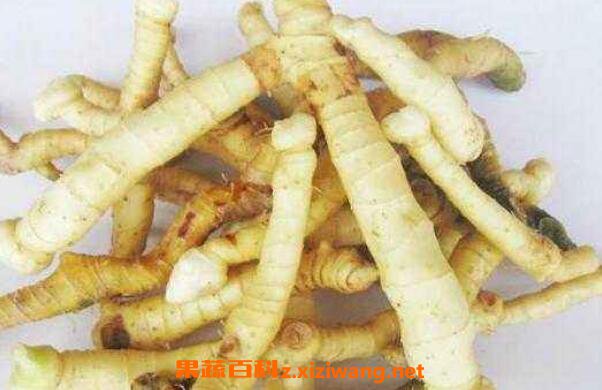 ����Ĺ�Ч�����ü�ҩ�ü�ֵ