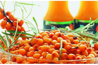 ɳ�̹��Ĺ�Ч������ ɳ�̹���ʳ