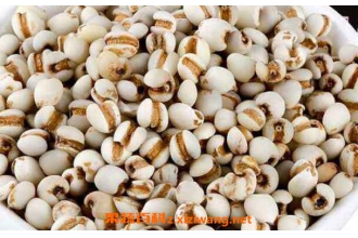 ޲�׵Ĺ�Ч������ ޲�׵ĳԷ�