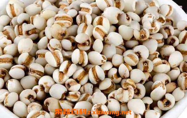 ޲�׵Ĺ�Ч������ ޲�׵ĳԷ�