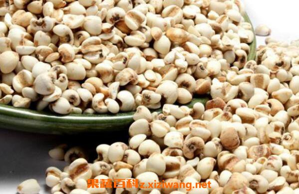޲�׵Ĺ�Ч������ ޲�׵ĳԷ�