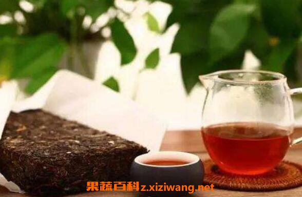 安化黑茶的九大功效