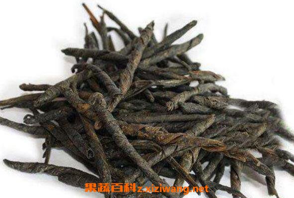 苦丁茶的功...... <a href=