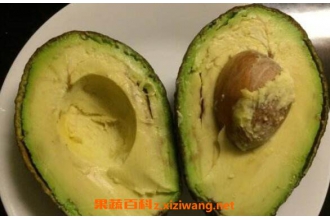 ţ�͹���ô�Լ��� ţ�͹���