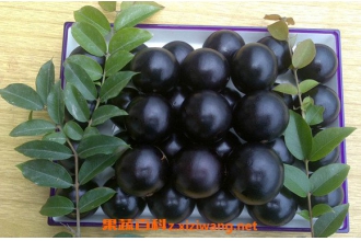 �α�����ô�� �α�����Ӫ����ֵ