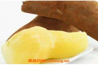 ѩ�������������� Ů����ѩ�����Ļ���