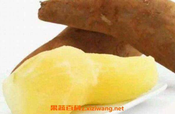 ѩ�������������� Ů����ѩ�����Ļ���
