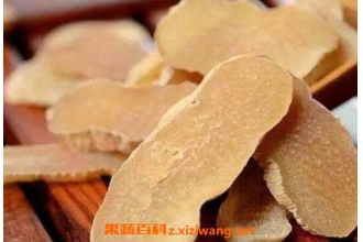 ����Ĺ�Ч������ Ů�˳�����ĺô�