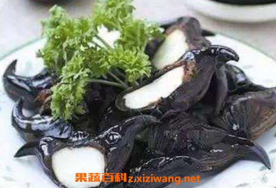 �����ô�� �����ô����