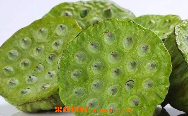 �����󼦵���ʲô����