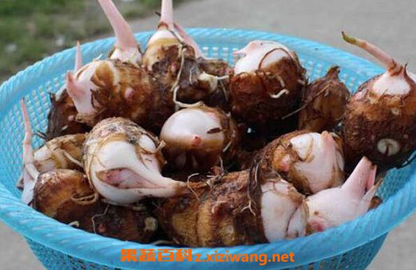 ��ͷѿ�ܳ��� ��ͷѿ��ô���ó�